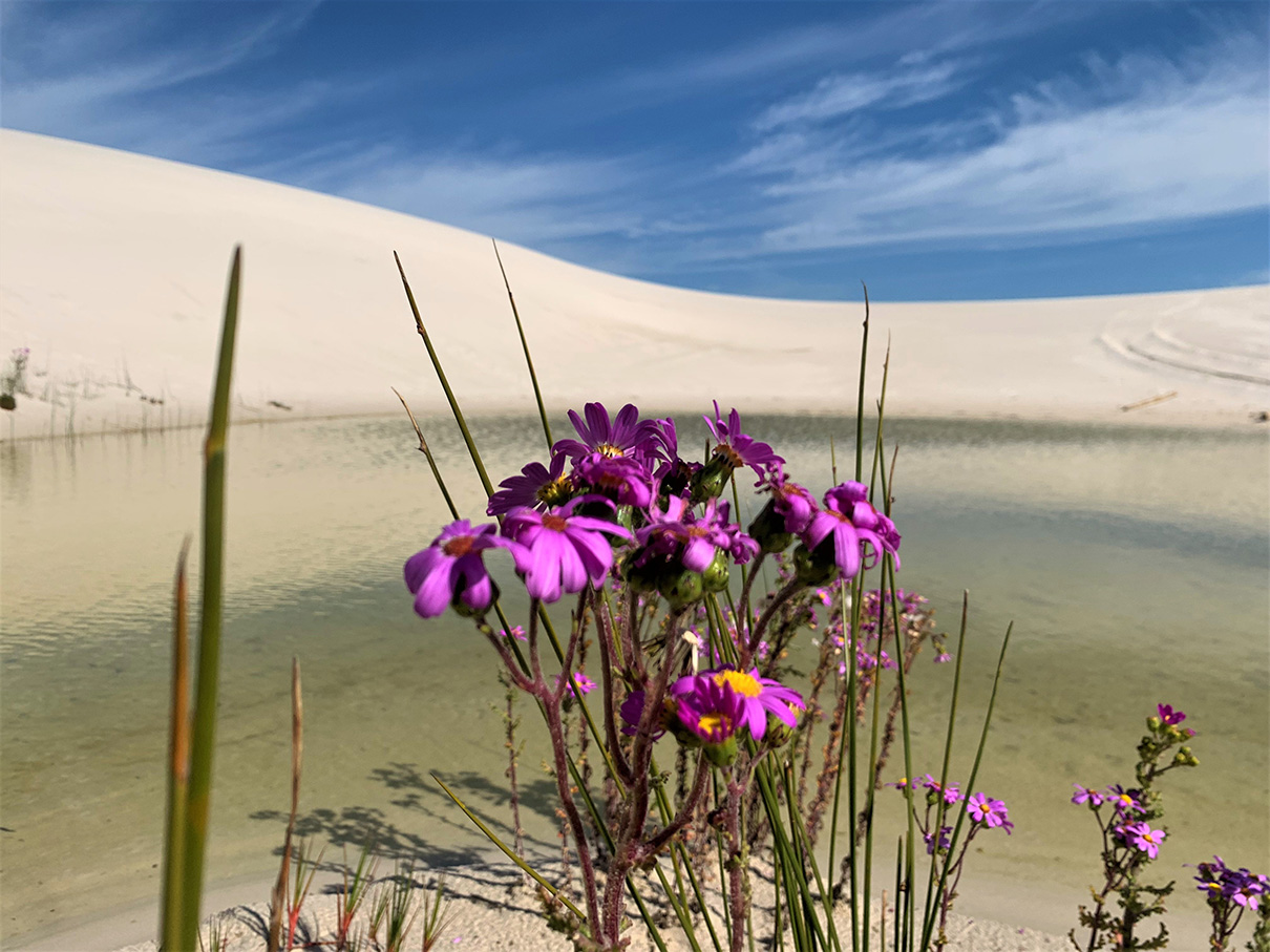 Witzands Aquifer Nature Reserve